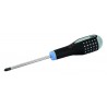 Screwdriver ERGO™ Pozidriv PZ2x100mm