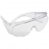 Safety glasses MSA Perspecta 2047W clear...