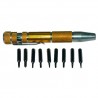 Screwdriver with mini bits