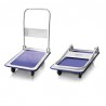 Trolley 300 kg