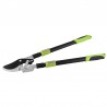 Branch shears with a step mechanism...